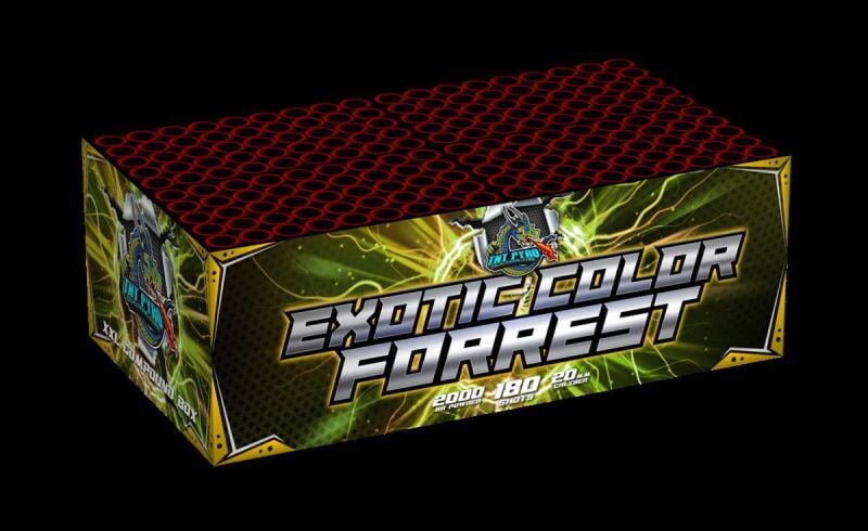 Exotic Color Forrest 180-Schuss-Feuerwerkverbund by Intermedia