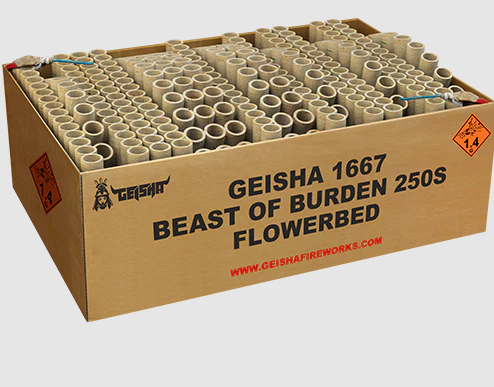 Jetzt Beast of Burden 250-Schuss-Feuerwerkverbund ab 217.49€ bestellen