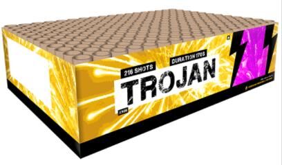 Jetzt Trojan 216 Schuss-Feuerwerkverbund ab 82.49€ bestellen