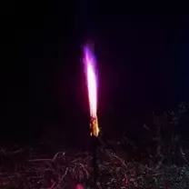 Jetzt Bengal 180 Violett 3min ab 4.99€ bestellen