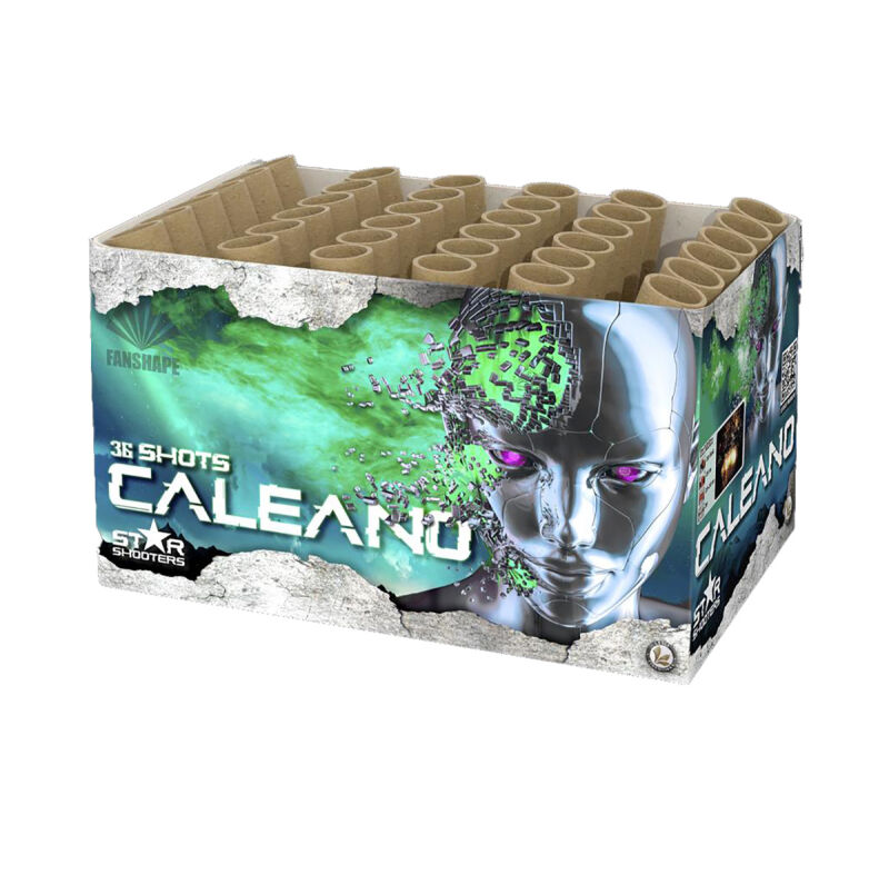 Jetzt Caleano / Krejser 36-Schuss-Feuerwerk-Batterie (Stahlkäfig) ab 42.49€ bestellen
