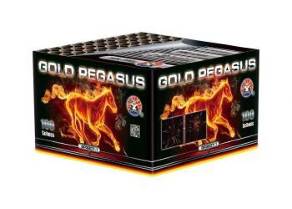 Jetzt Gold Pegasus 100-Schuss-Feuerwerk-Batterie ab 52.99€ bestellen
