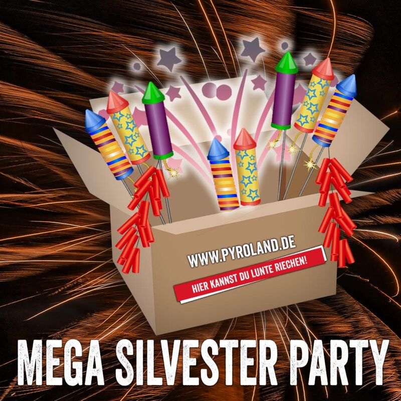 Jetzt Mega Silvester Party ab 399€ bestellen